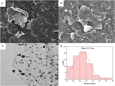 A Bifunctional Nanosilver-Reduced Graphene Oxide Nanocomposite for Label-Free Electrochemical Immunosensing